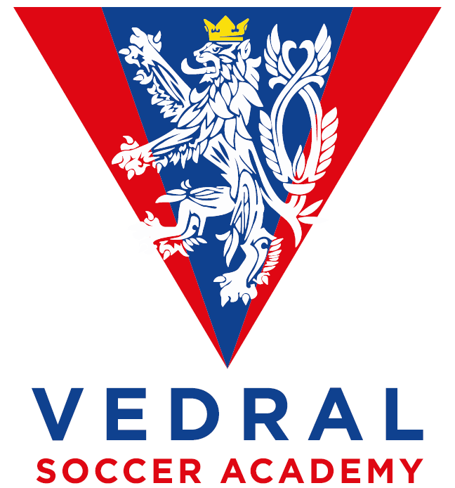 VEDRAL SOCCER ACADEMY