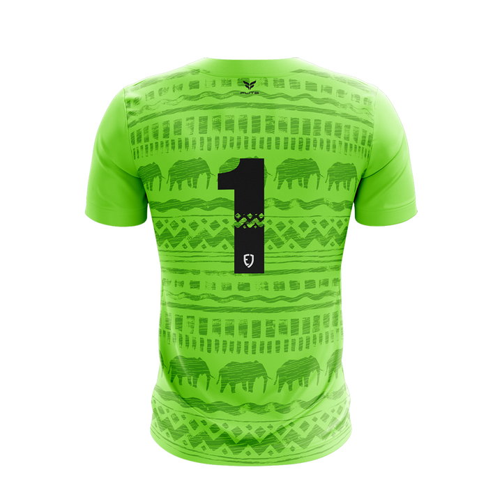 EJ FUTBALL TRAINING GK JERSEY GREEN